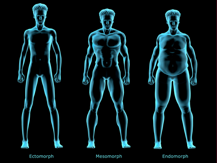 Why Do Exercise Needs Vary Between Individual: The 3 Body Compositions