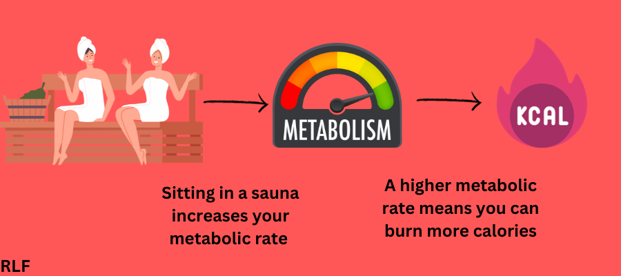 Visual representation of how sauna increase metabolic rate and helps lose weight
