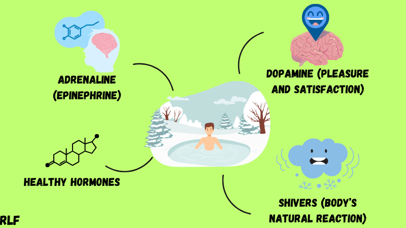 body reaction to ice baths
