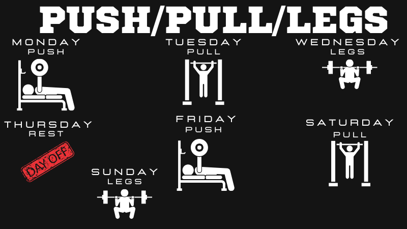 push pull legs schedule