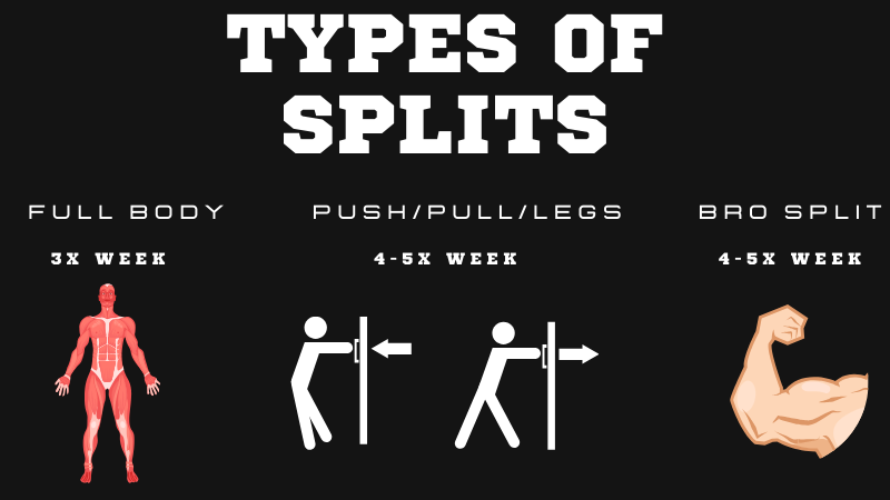 types of workout splits